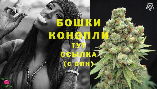 дурь Каменногорск