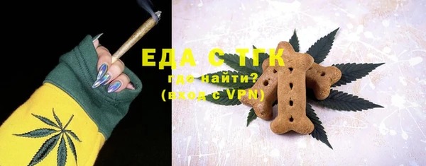 спайс Каменка