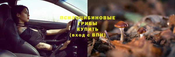 Альфа ПВП Каменск-Шахтинский