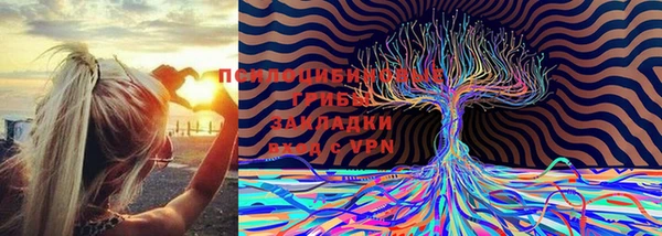 спайс Каменка