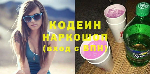 спайс Каменка