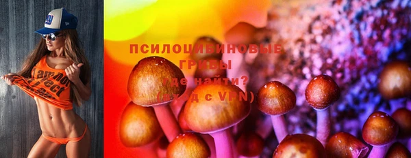 Альфа ПВП Каменск-Шахтинский