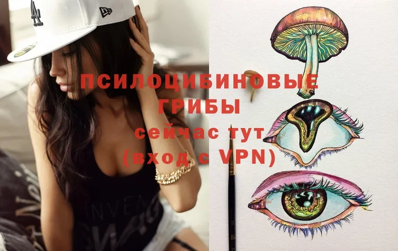 Галлюциногенные грибы MAGIC MUSHROOMS  Ессентуки 