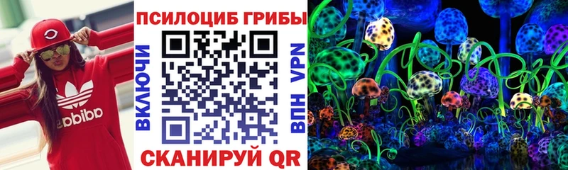 даркнет сайт  Ессентуки  Псилоцибиновые грибы Cubensis 