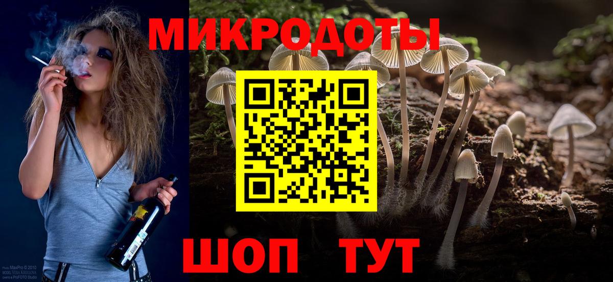 Галлюциногенные грибы Psilocybine cubensis Ессентуки