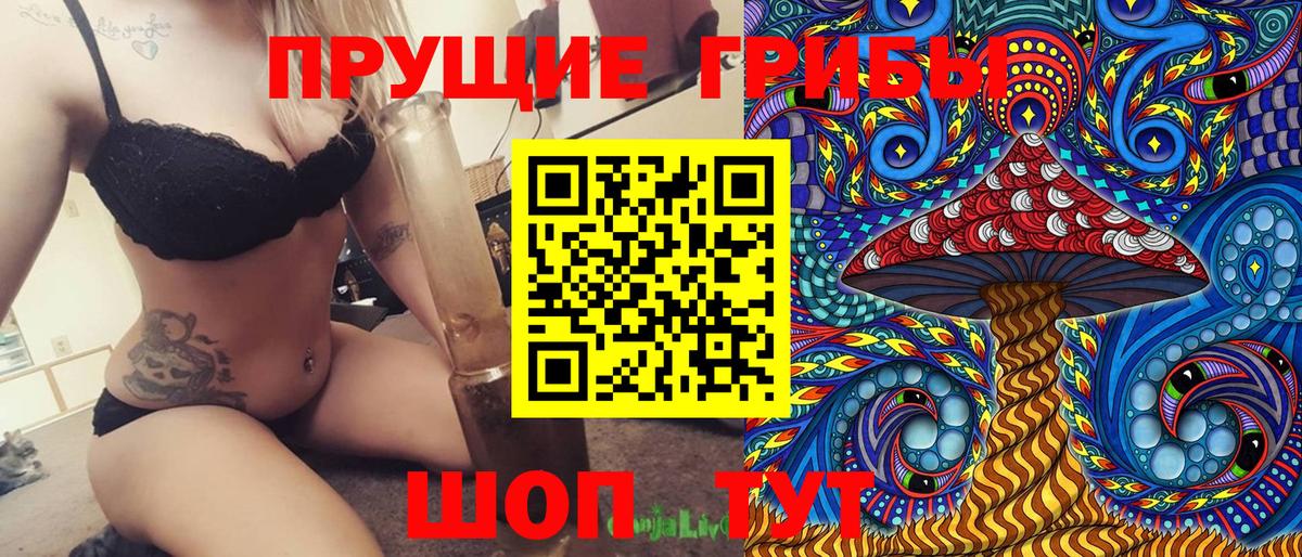 Псилоцибиновые грибы мухоморы  Псилоцибиновые грибы GOLDEN TEACHER  Ессентуки  Вход с VPN 