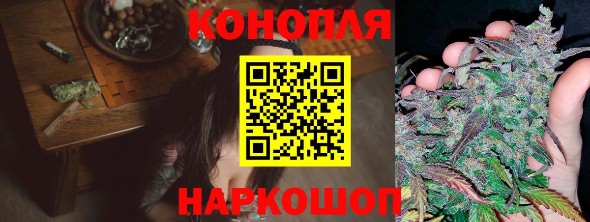 МАРИХУАНА ГИДРОПОН  МАРИХУАНА семена  Вход с VPN  Канабис сатива  Канабис сатива  Ессентуки 